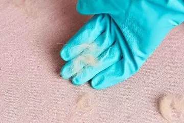 پایان کلنجار با موهای فرش | با این ترفند از شر موهای روی فرش خلاص شو +ویدئو