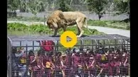 شگفت انگیزترین باغ وحش دنیا+ ویدئو 