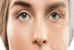 عوامل پیر شدن در ژن انسان | چرا پیر میشویم؟