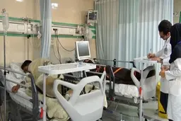 پشت پرده ماجرای وجود سم یونجه در شربت نذری | افشاگری پدر دختری که جان باخت !