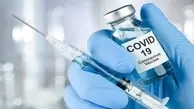 فرآیند تزریق واکسن کرونا اعلام شد | مخبر: تزریق در سه فاز انجام می‌شود