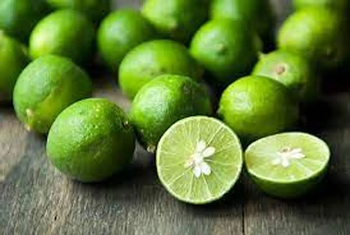 ساخت بوگیر خانگی یاد بگیر! | آموزش ساخت بوگیر طبیعی +ویدئو