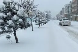 موج سنگین و سرد بارندگی و برف جمعه وارد ایران می‌شود +نقشه