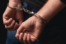 
دستگیری ۱۱۱ نفر از اعضای باند پارتی فعال شبانه در شهریار
