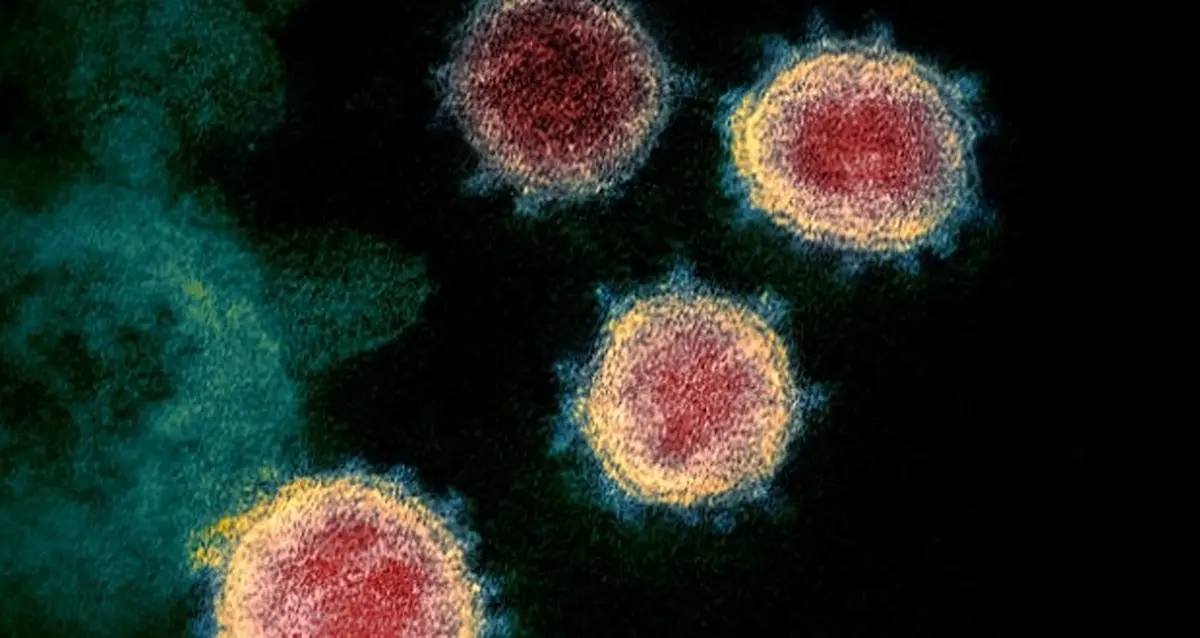 محققان چینی از کشف ۳۳ جهش در ویروس کرونا خبر دادند