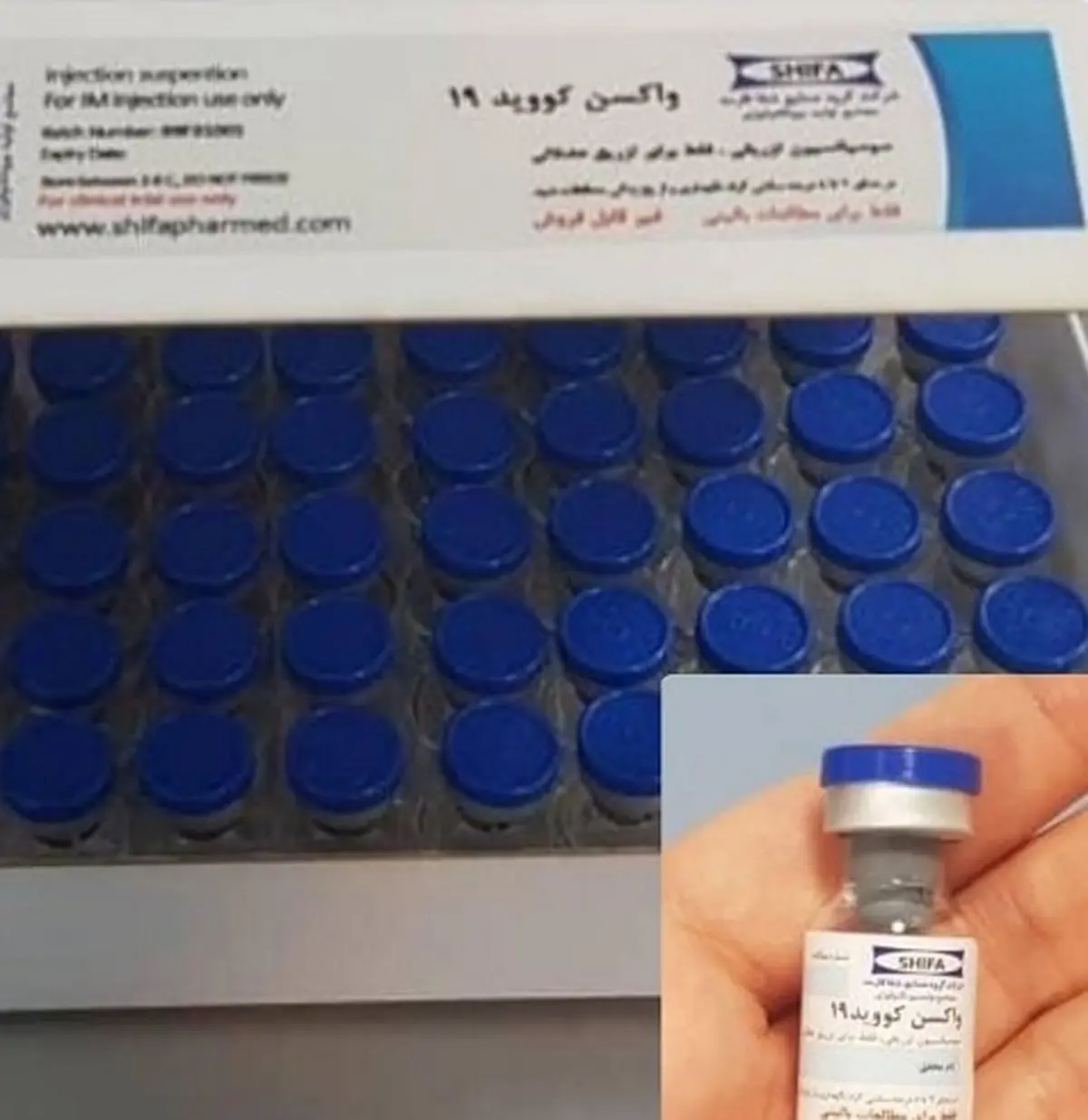اولین عکس از واکسن ایرانی کرونا