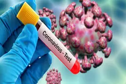 خدمه کشتی‌ها در مبادی ورودی به بندرهای هرمزگان تب‌سنجی می‌شوند