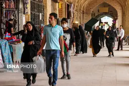 چه راهکارهایی برای افزایش جمعیتوجود دارد؟