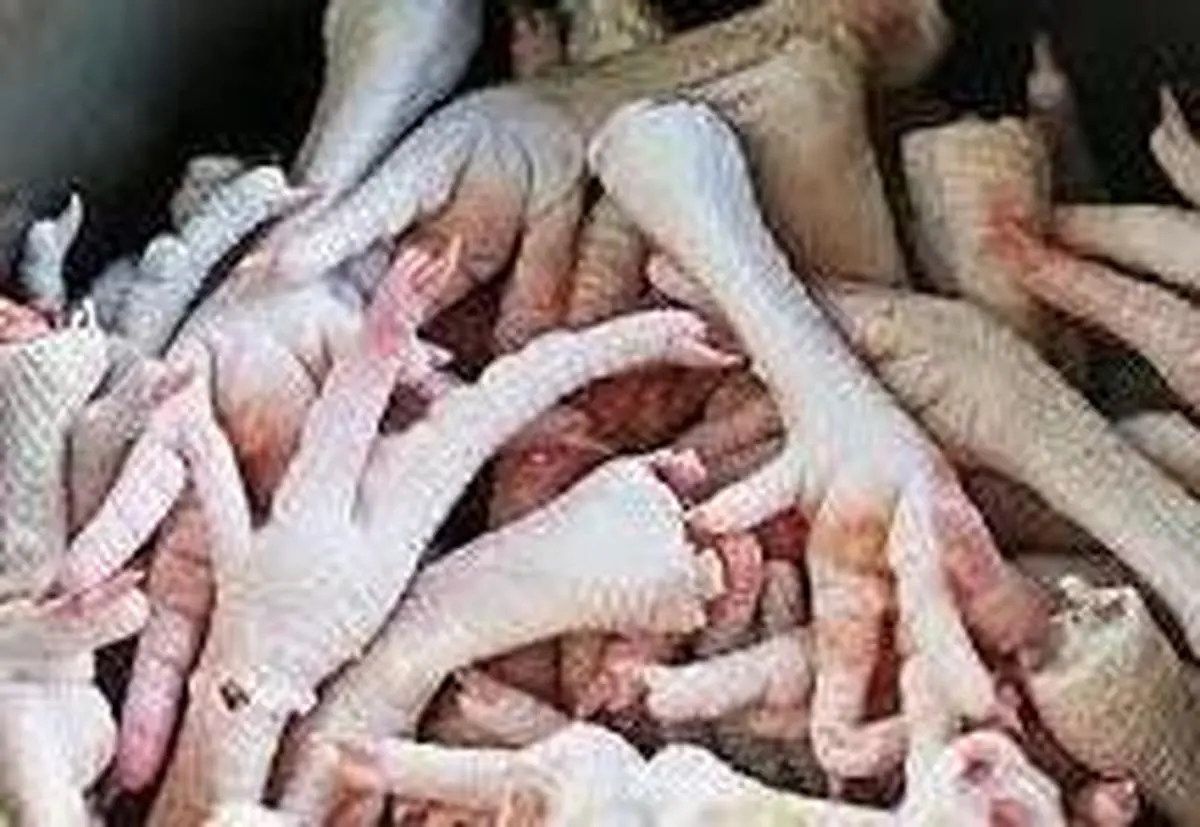 خواص باورنکردنی پای مرغ چندش! | صادرات پای مرغ از اردبیل به کشورهای جنوب شرقی آُسیا