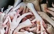 خواص باورنکردنی پای مرغ چندش! | صادرات پای مرغ از اردبیل به کشورهای جنوب شرقی آُسیا