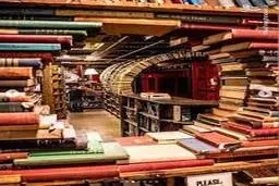 چطور بتونیم بیشتر کتاب بخونیم؟ | کتاب‌خوانی در دنیای آشفته؛ پناهگاهی برای ذهن‌های خسته