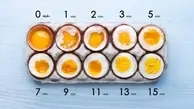 چه مدت برای یک تخم مرغ أب پز مناسب است ؟ | یک ویدئو آیده آل برای آب پز کردن یک تخم مرغ + ویدئو