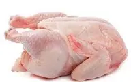 قیمت مرغ در بازار روز اعلام شد | قیمت گوشت مرغ بسته بندی چقدره؟