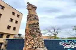 جان دادن به درختان خشک‌شده در شیراز | هنرنمایی هنرمندان خوش ذوق شیرازی+ویدئو 