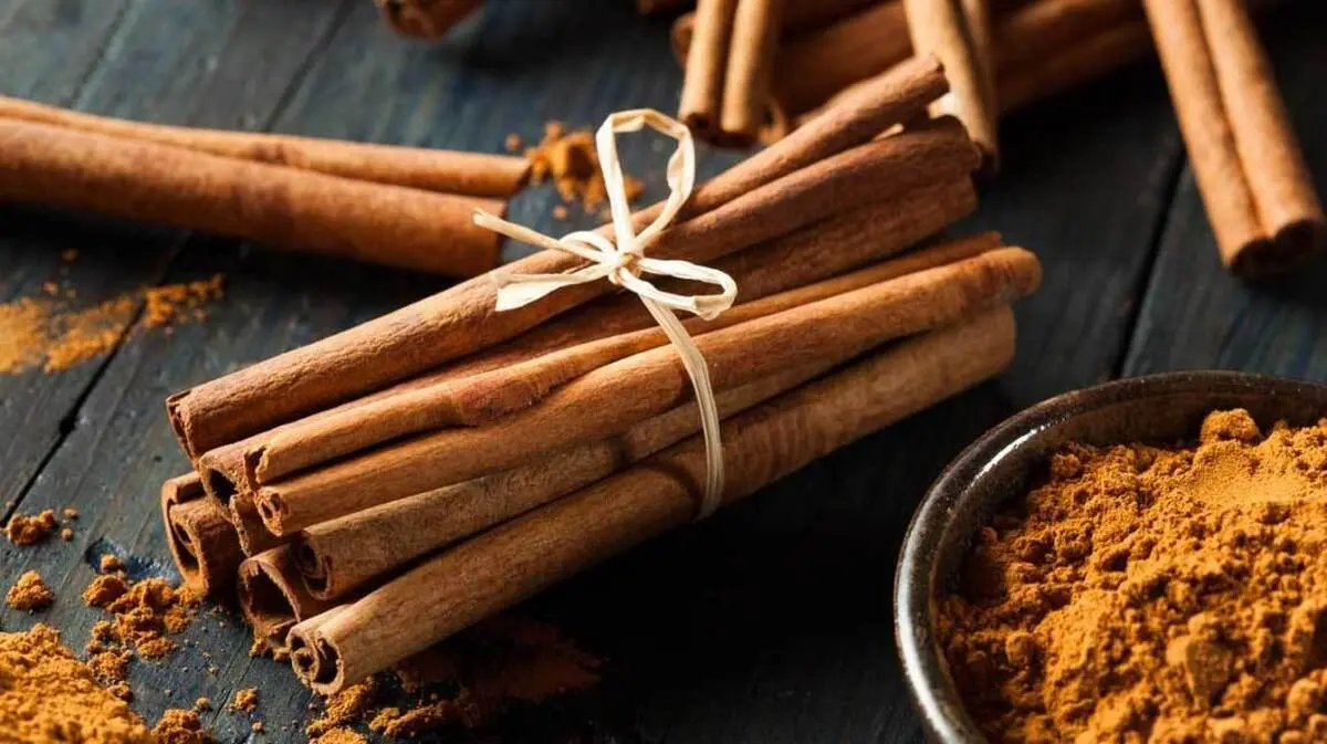 از دارچین تا عسل؛ داروهای طبیعی برای درمان مشکلات عمومی بدن