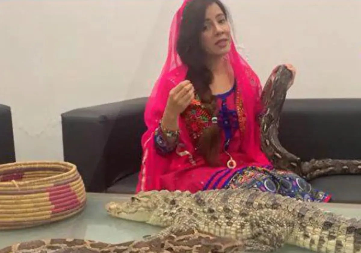 ویدئو : دو سال زندان برای نقض قوانین نگهداری از حیوانات برای خواننده پاکستانی