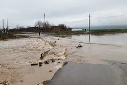 خودکشی در سیل | اقدام غیر عقلانی راننده پاترول +ویدئو