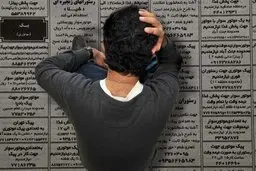چند درصد از جمعیت فعال و فارغ التحصیلان بیکارند؟