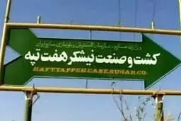 هفت تپه |  فسخ قرارداد و تعیین تکلیف مجدد واگذاری نیشکر هفت تپه