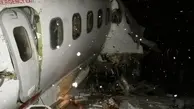 یک هواپیما در فرانسه سقوط کرد+ تصویر