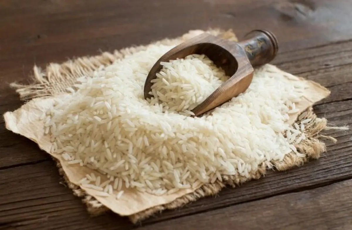 برنج های وارداتی به شالیکاران آسیب نمی زند