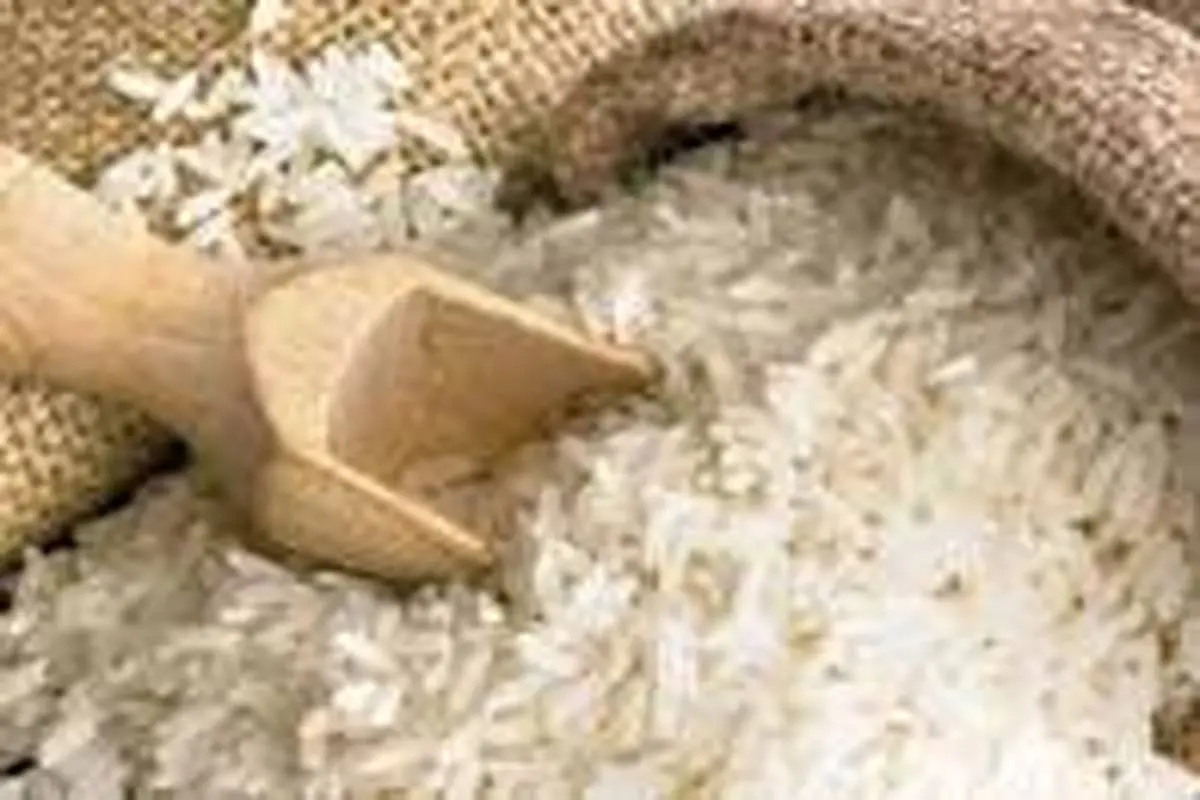 برنج 25 درصد گران شد/ علت گرانی چیست؟