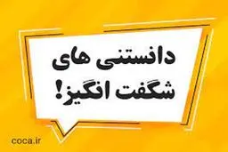 دانستنی های جذاب از مسائل رابطه جنسی