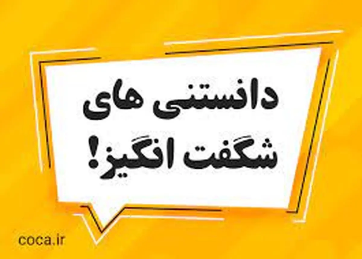 دانستنی های جذاب از مسائل رابطه جنسی