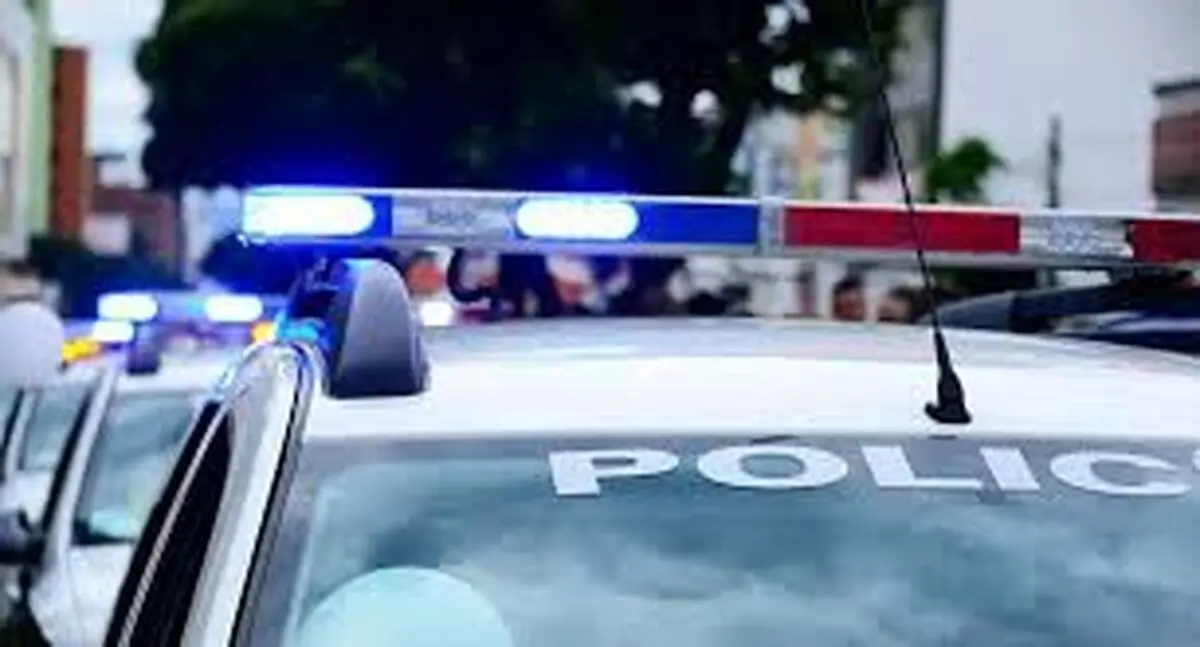  قاچاق انسان  |  در ایالات متحده ۱۷۹ نفر دستگیر شدند.