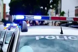  قاچاق انسان  |  در ایالات متحده ۱۷۹ نفر دستگیر شدند.