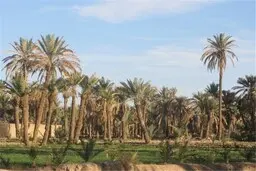 روز تولدم قرار بود کشته شوم