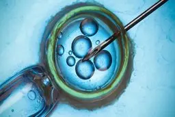 دانشمندان فرآیند پیری تخمک را معکوس کردند! | مادر شدن در دهه ششم زندگی امری عادی می‌شود