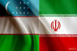 
هیاتی از مجلس برای نظارت بر انتخابات ریاست جمهوری ازبکستان عازم تاشکند شد
