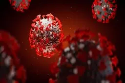 خطر ۳ برابری بیماری کرونا برای سیگاری‌ها!