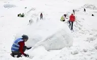 ساخت مجسمه‌های یخی در تابستان