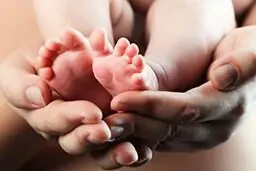 آیا با فرزند اوری کم جامعه پیر میشود؟