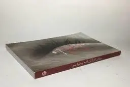 اگه اهل معما و حل اون هستی این کتاب رو بخون | معرفی کتاب پیش از آن که بخوابم