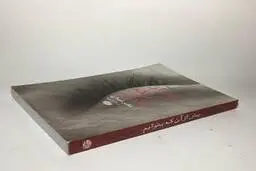 اگه اهل معما و حل اون هستی این کتاب رو بخون | معرفی کتاب پیش از آن که بخوابم