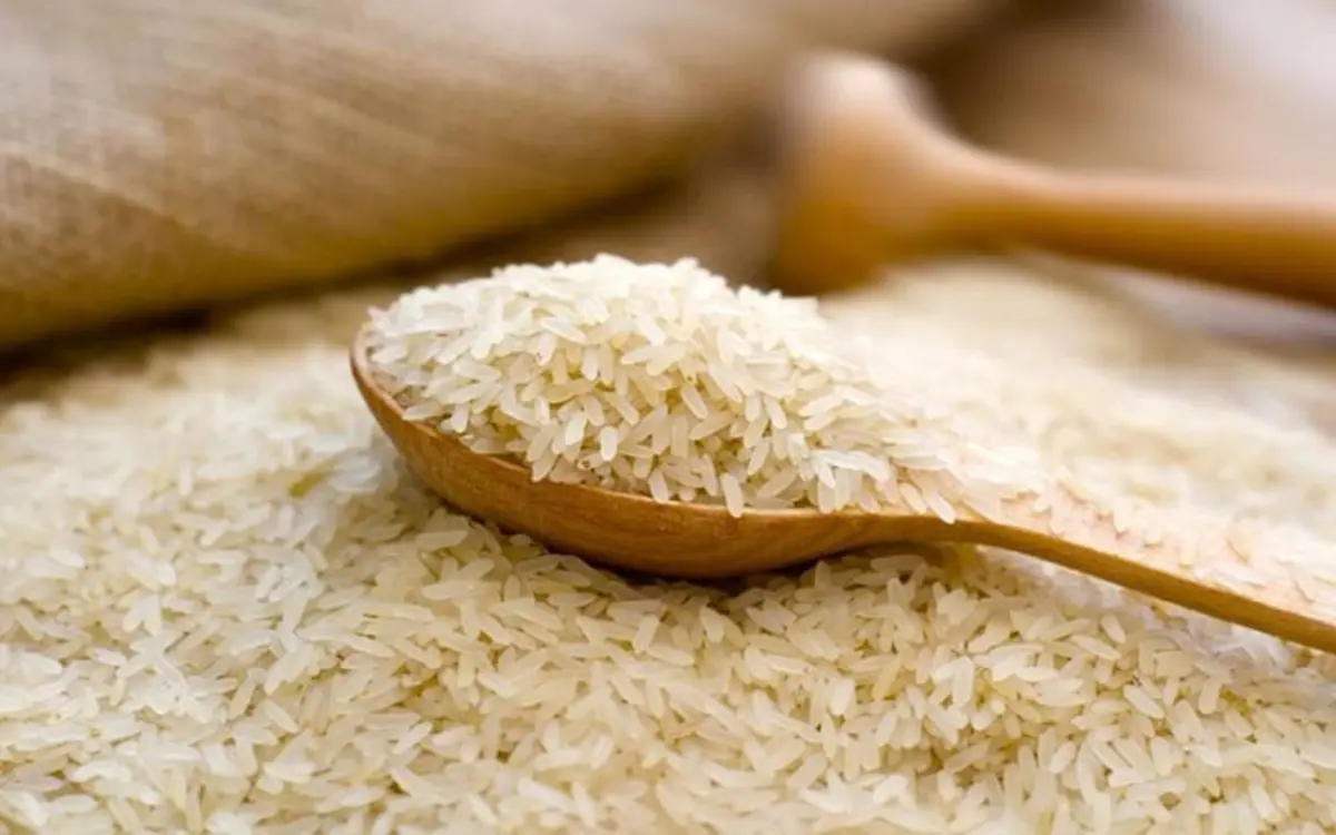 افزایش قیمت برنج شدت گرفت | وارداتی در راه بازار