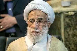 
 مسئولیت های شورای نگهبان: زیاد است؛ ما را کلافه می‌کند! 
