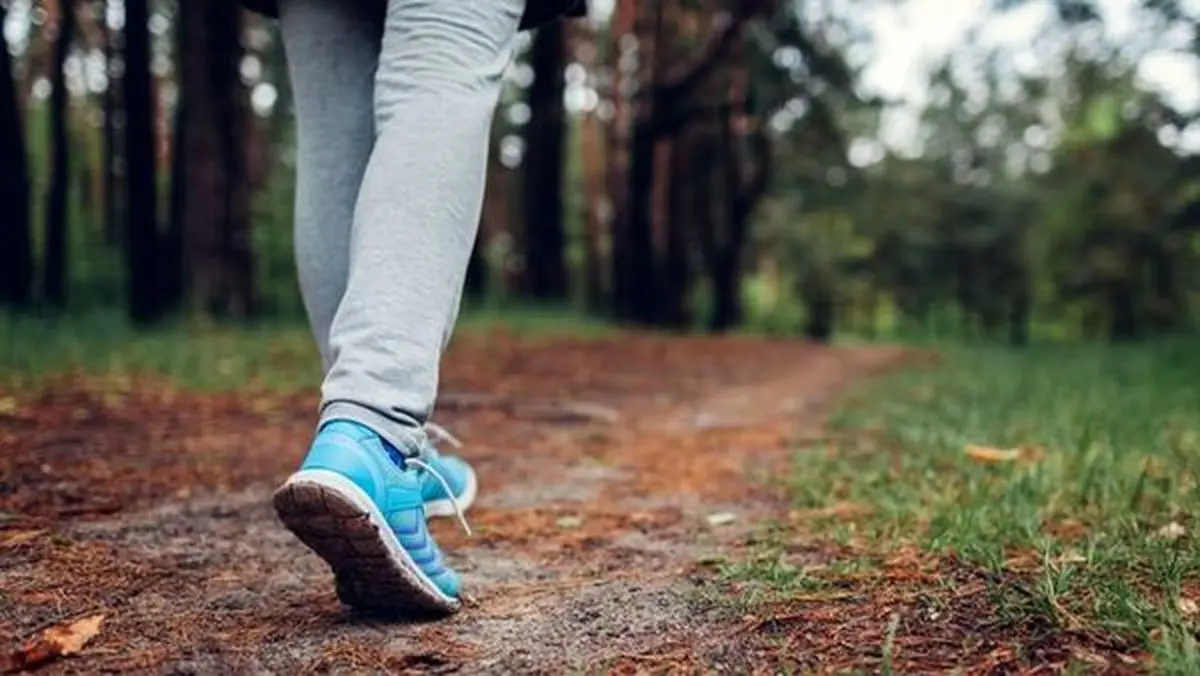  دلایل  مهم برای پیاده‌روی  |  موثر بودن پیاده روی به منظور کاهش اضافه وزن