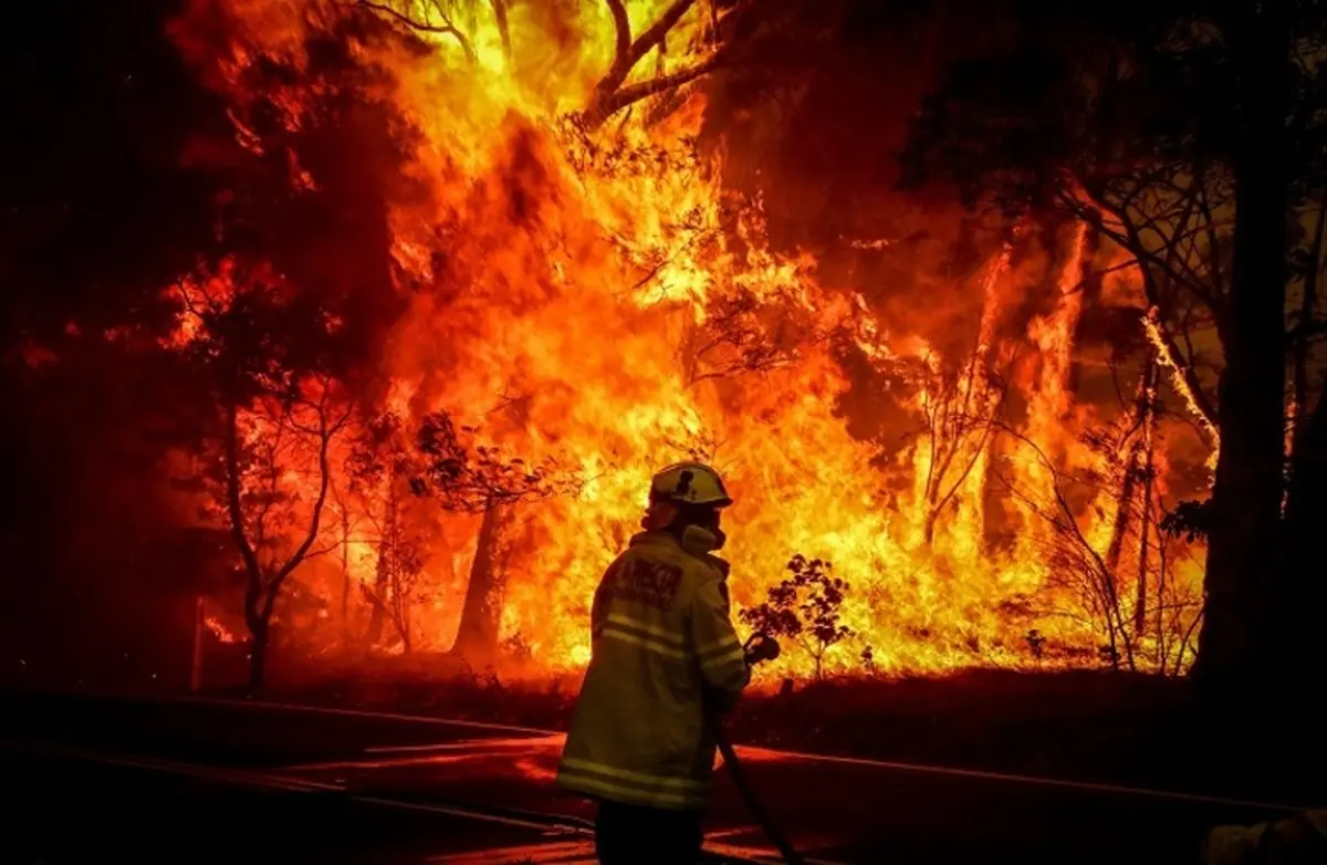ویدئو؛ فرار کانگوروها و ادامه آتش سوزی ها در استرالیا