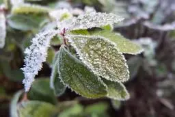 گزارش اولیه مدیریت بحران از خسارت‌های سرما و بارندگی در کشور