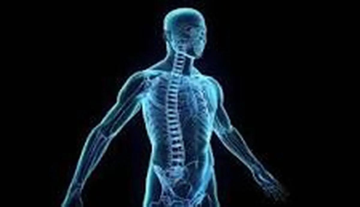 راهنمای تقویت سیستم ایمنی بدن