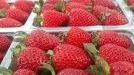 توت‌فرنگی کیلویی ۲۰۰ هزار تومانی در بازار تهران
