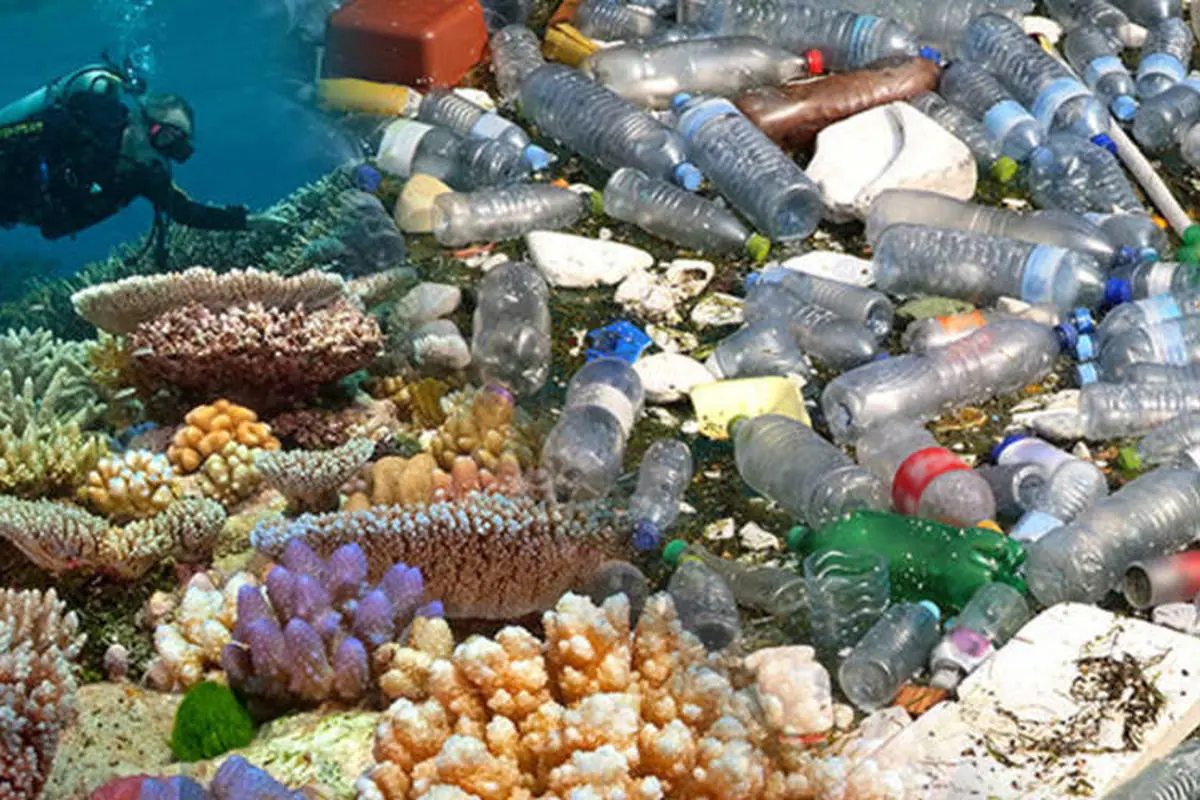 زباله‌های پلاستیکی، تهدیدی جدید برای صخره‌های مرجانی