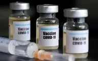  واکسن |تزریق دوز اشتباهی از واکسن کرونا ی دانشگاه آکسفورد 