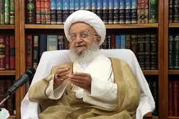 مکارم: به‌خاطر چند خشک‌مقدس نمی‌توان از فناوری‌ روز چشم پوشید