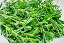 خواص باورنکردنی گیاه مرزه 