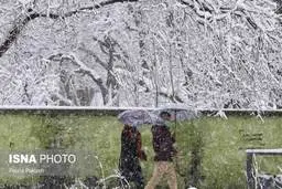 تهرانی ها پنجشنبه برفی می شوند| هوای تهران پنجشنبه برفی است